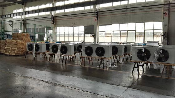 DL/DD/DJ Walk In Cold Room Air Cooler Cool Room Refrigeration Unit 2.6Mpa