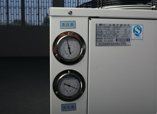 ضاغط وحدة تكثيف غرفة الفريزر من كوبلاند 404a مبرد